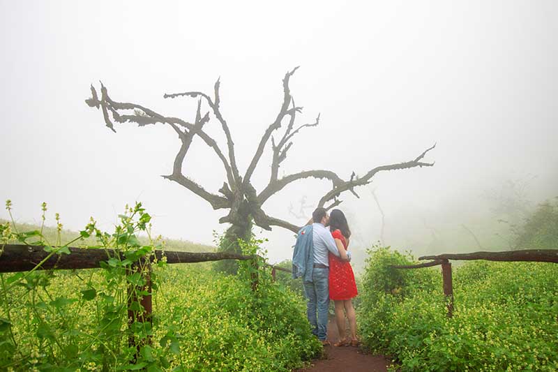 sesion de novios en Lomas de Lachay