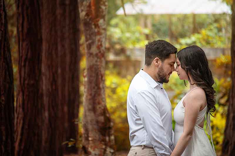 sesion pre boda en la naturaleza